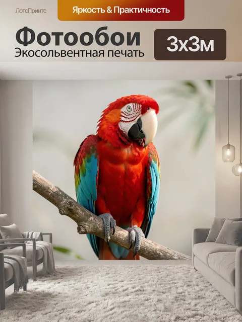 Фотообои Красный ара на ветке