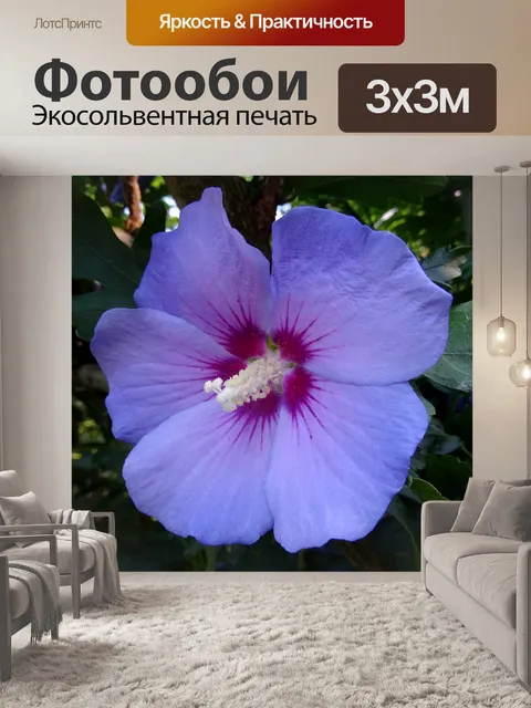 Фотообои Красивый цветок сирени Буш