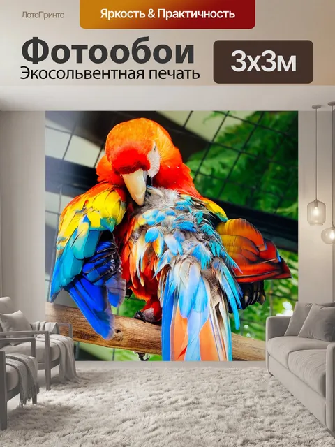 Фотообои Птица