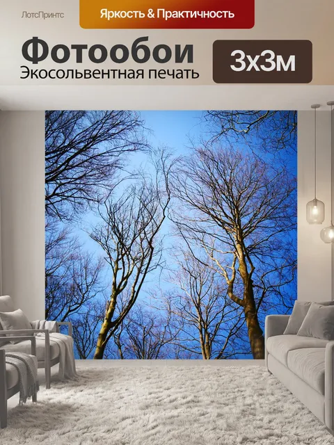 Фотообои Лес