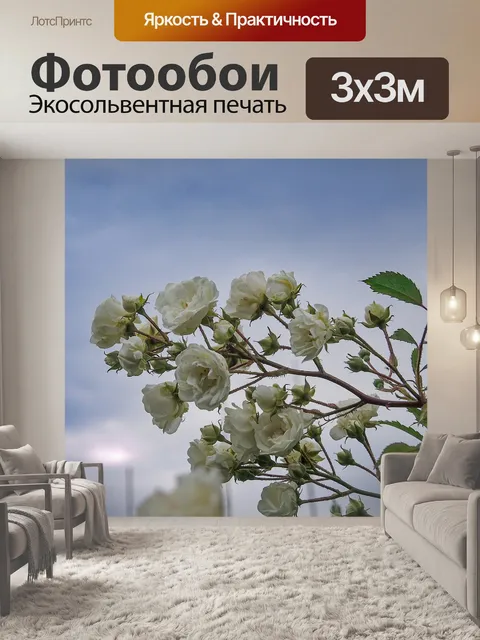 Фотообои Розы