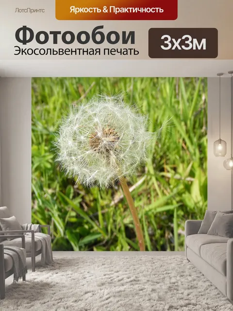 Фотообои Дуть