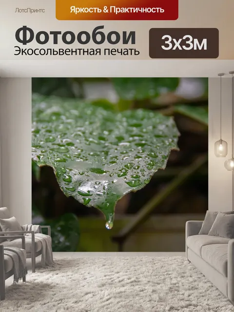 Фотообои Цветы
