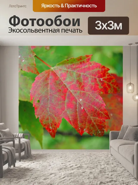 Фотообои Осенние листья