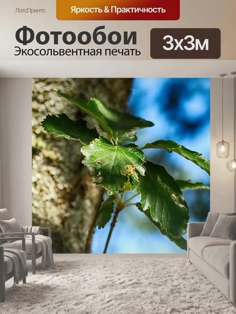 Фотообои Дерево