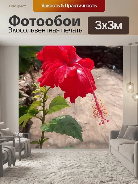 Фотообои Природа