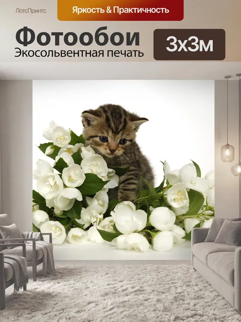 Фотообои Котенок