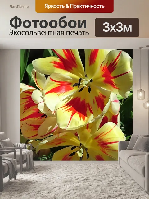Фотообои Цветы