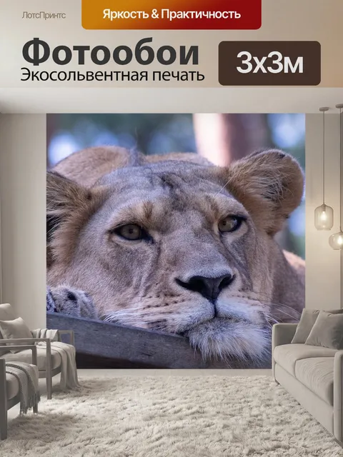 Фотообои Лев