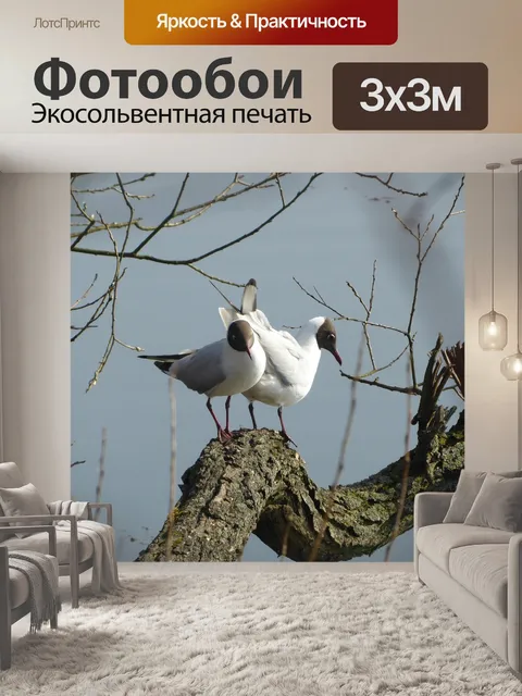 Фотообои Птицы
