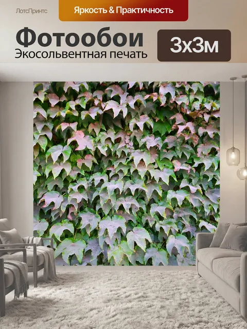 Фотообои Осенние листья плюща