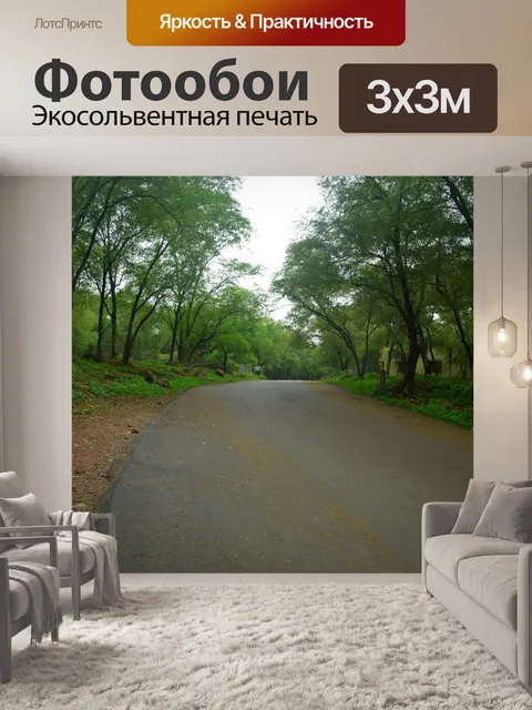 Фотообои путь лес 6