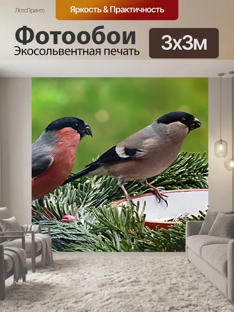 Фотообои Птица