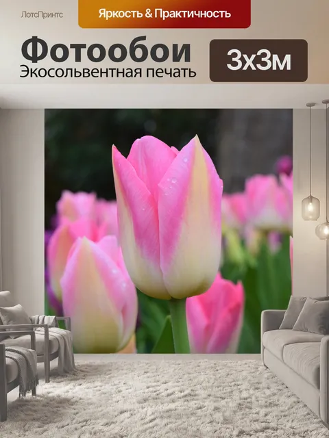 Фотообои Розовый