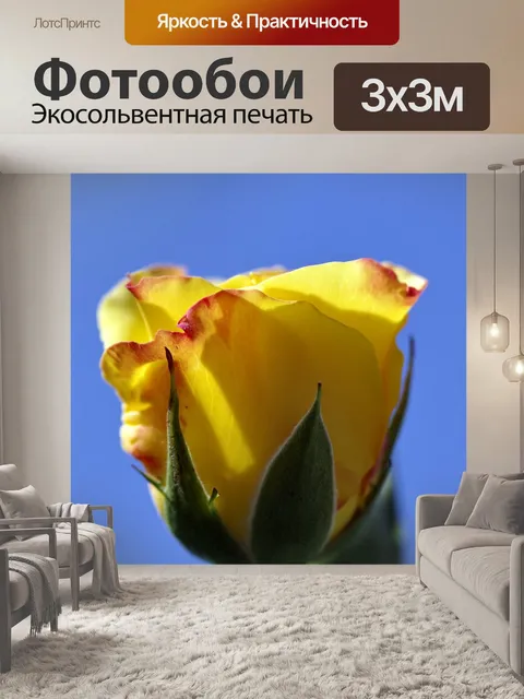 Фотообои Роуз