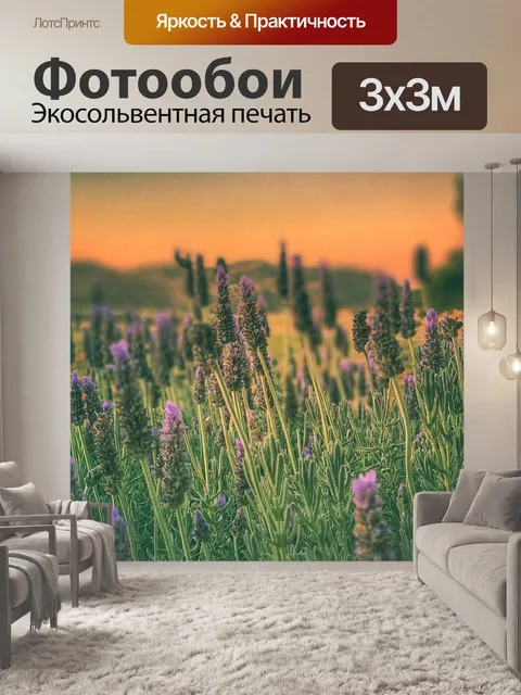 Фотообои Заход солнца