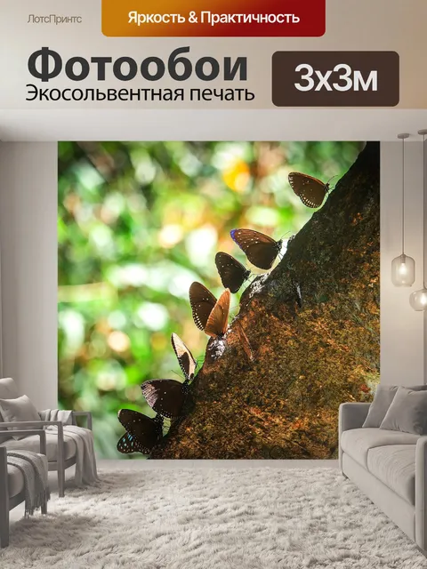 Фотообои Бабочка