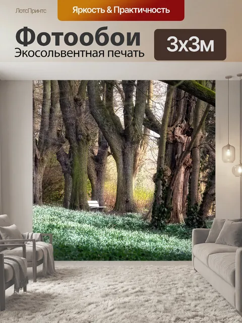 Фотообои Парк