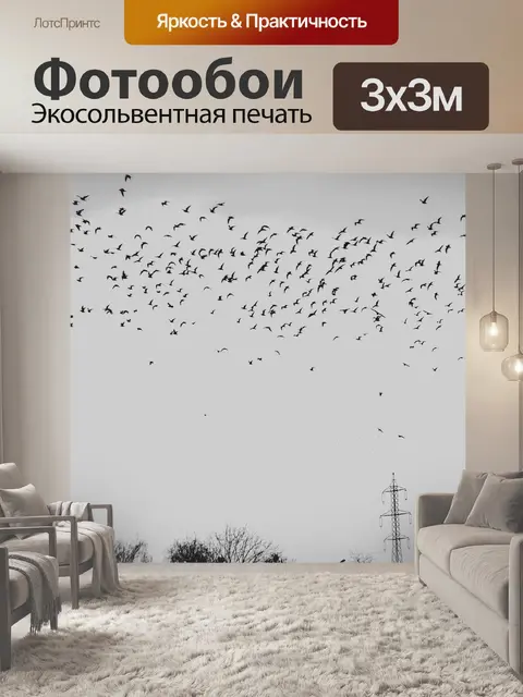 Фотообои Черное и белое