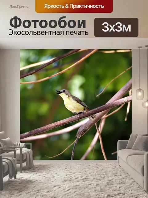 Фотообои Мухоловка
