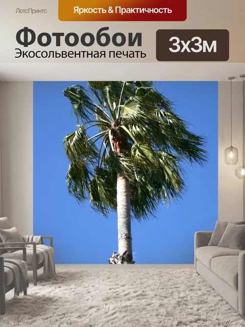 Фотообои Деревья