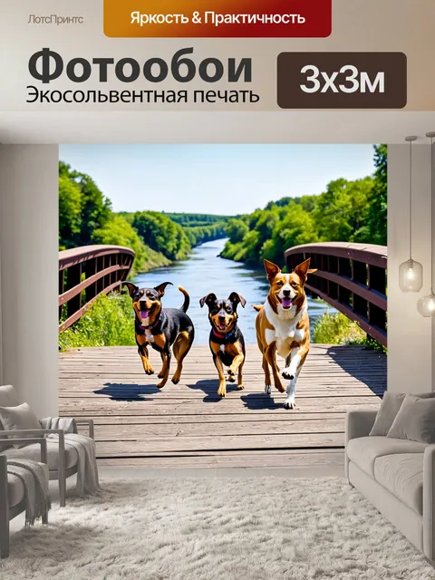 Фотообои собаки, бегущие по мосту, с красивым видом на речку