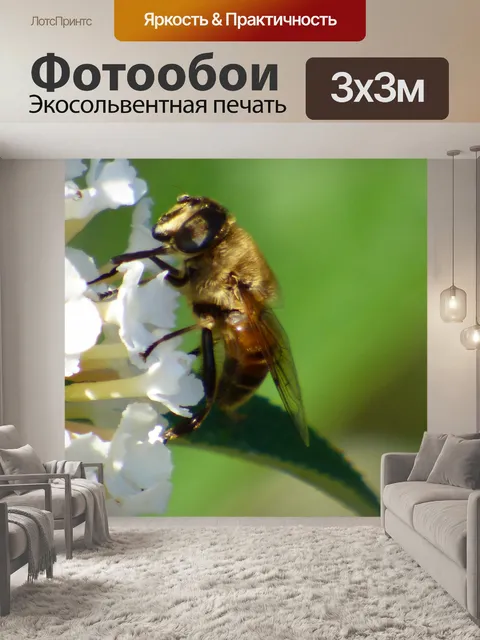 Фотообои Пчела на цветке