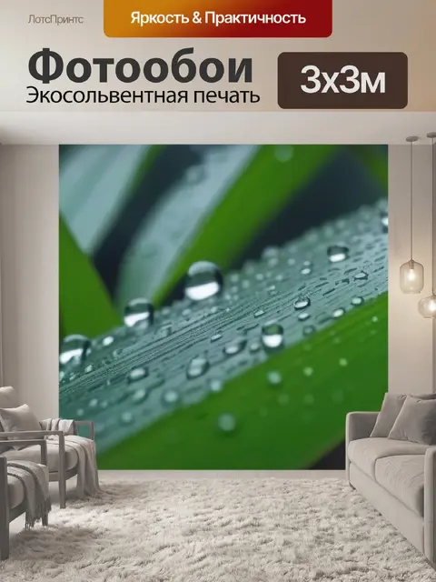 Фотообои лес в дождь: капли, как музыка