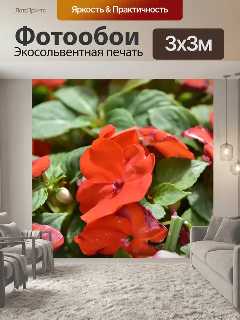 Фотообои Цветы