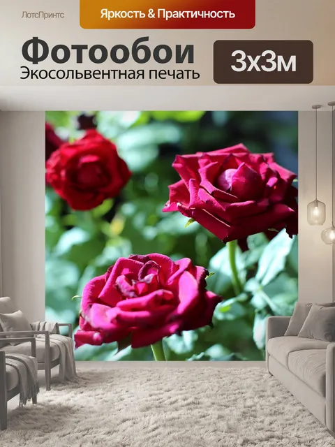 Фотообои Розы