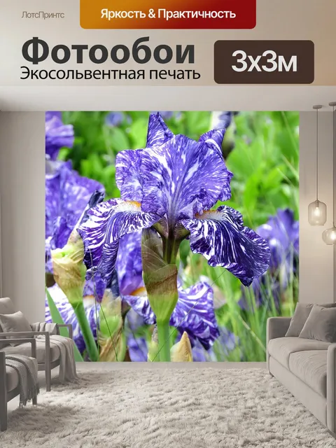 Фотообои Сад