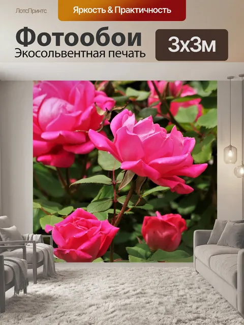 Фотообои Розовые розы на кустах
