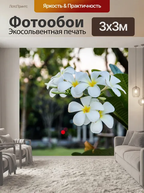 Фотообои Цветок
