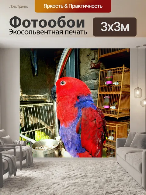 Фотообои Красный попугай