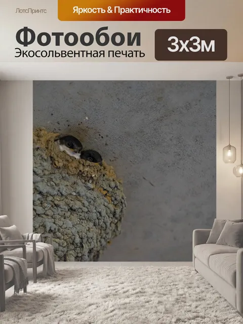 Фотообои Животные
