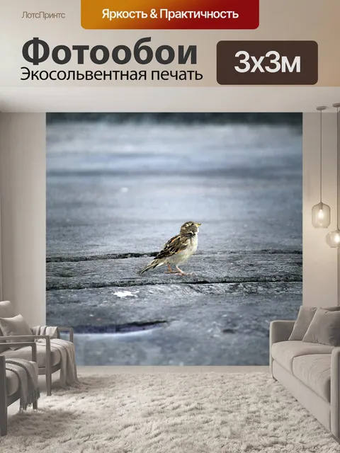Фотообои Птица