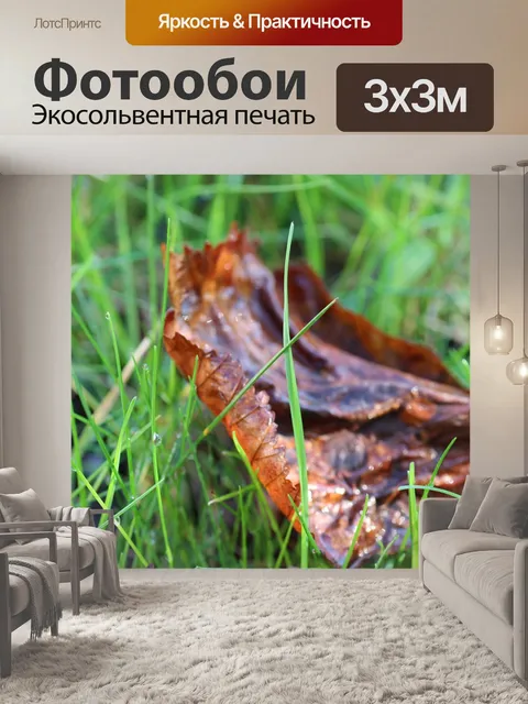 Фотообои Трава