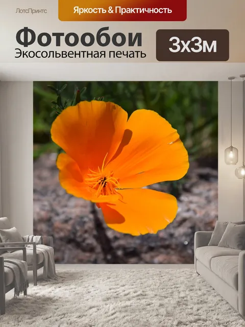 Фотообои Цветы