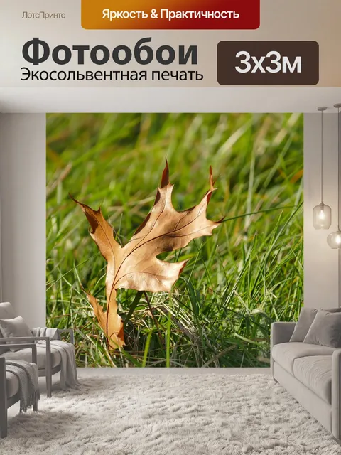 Фотообои Падение