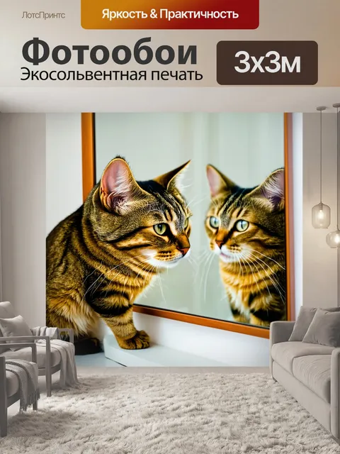 Фотообои кот, разглядывающий свое отражение в зеркале