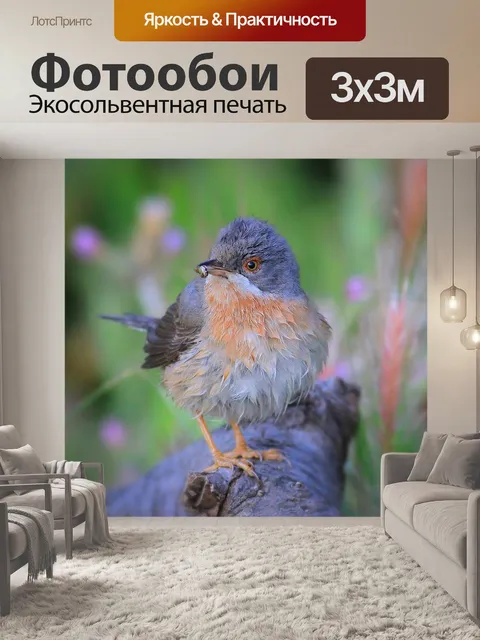 Фотообои Птица