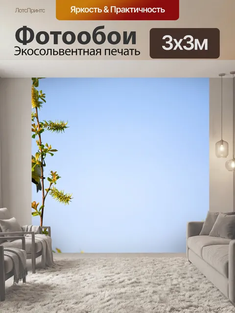 Фотообои Птица