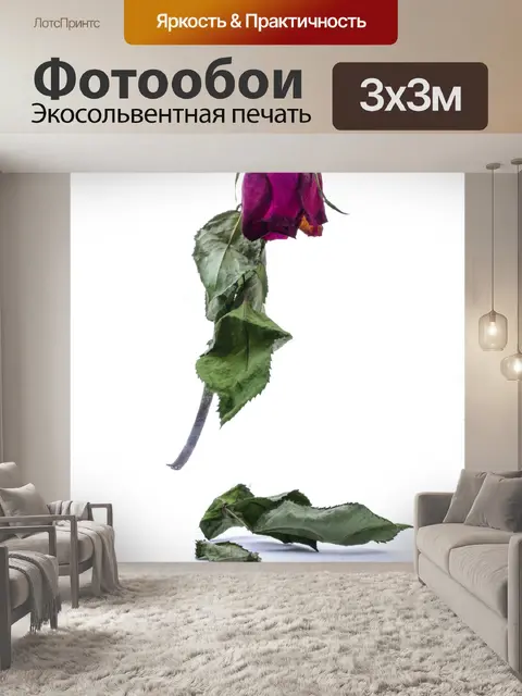 Фотообои Сушеные Красная роза