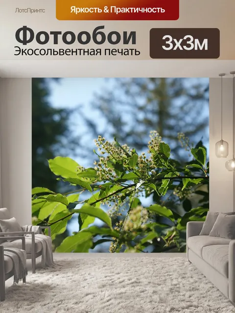 Фотообои Ветвь