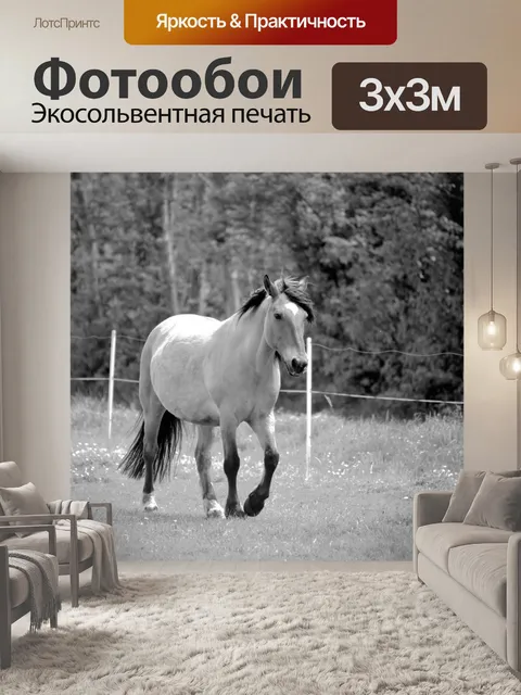 Фотообои Конная прогулка