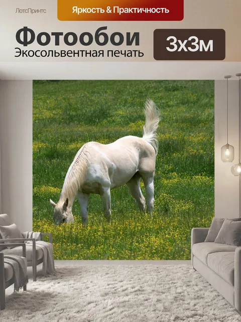 Фотообои Лошадь