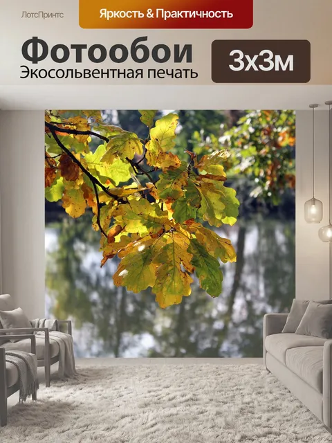Фотообои Осенние листья