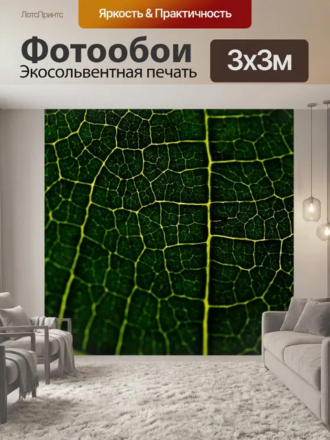 Фотообои Рис