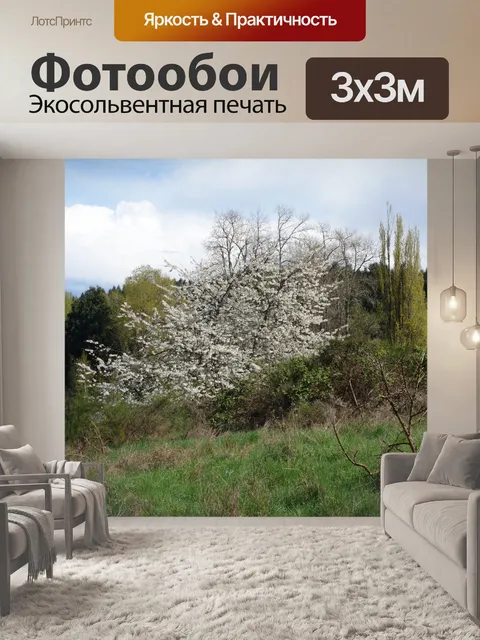 Фотообои Оттенки зеленого