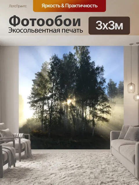 Фотообои Туман
